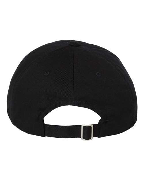EcoWash™ Dad Hat – Back