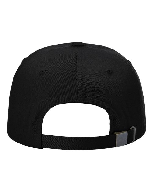 Sustainable Ashland Dad Hat – Back