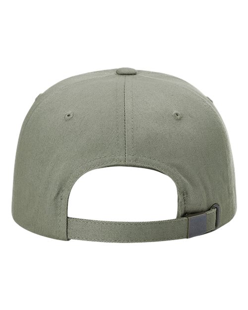 Sustainable Ashland Dad Hat – Back
